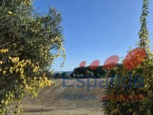 Terreno agricolo Forlì - foto 2