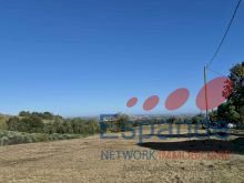 Terreno agricolo Forlì - foto 3