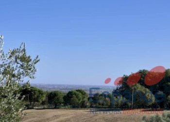 Terreno agricolo Forlì - foto 1