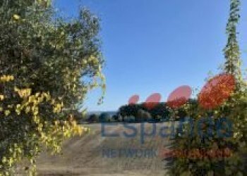 Terreno agricolo Forlì - foto 2