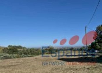 Terreno agricolo Forlì - foto 3