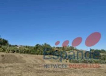 Terreno agricolo Forlì - foto 4