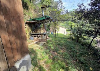 Foto 24 - Casa semi indipendente Via Alla Soria, Genova - foto 24