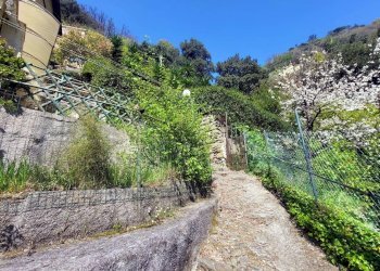 Foto 25 - Casa semi indipendente Via Alla Soria, Genova - foto 25