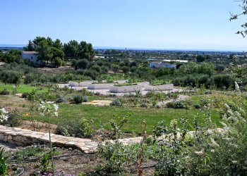 Foto 25 - Villa Contrada Caporotondo
 
snc, Pisticci - foto 25