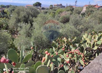 Non correlato - Magazzino Contrada Marvizzaro
47, Paterno - foto 23