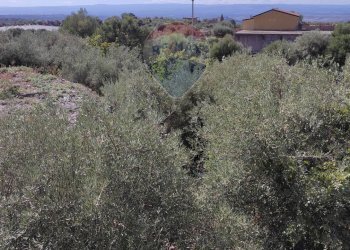 Vista delle montagne - Magazzino Contrada Marvizzaro
47, Paterno - foto 26