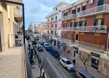 vista balcone - Appartamento Viale XXIV Maggio
 
58, Vieste - foto 11