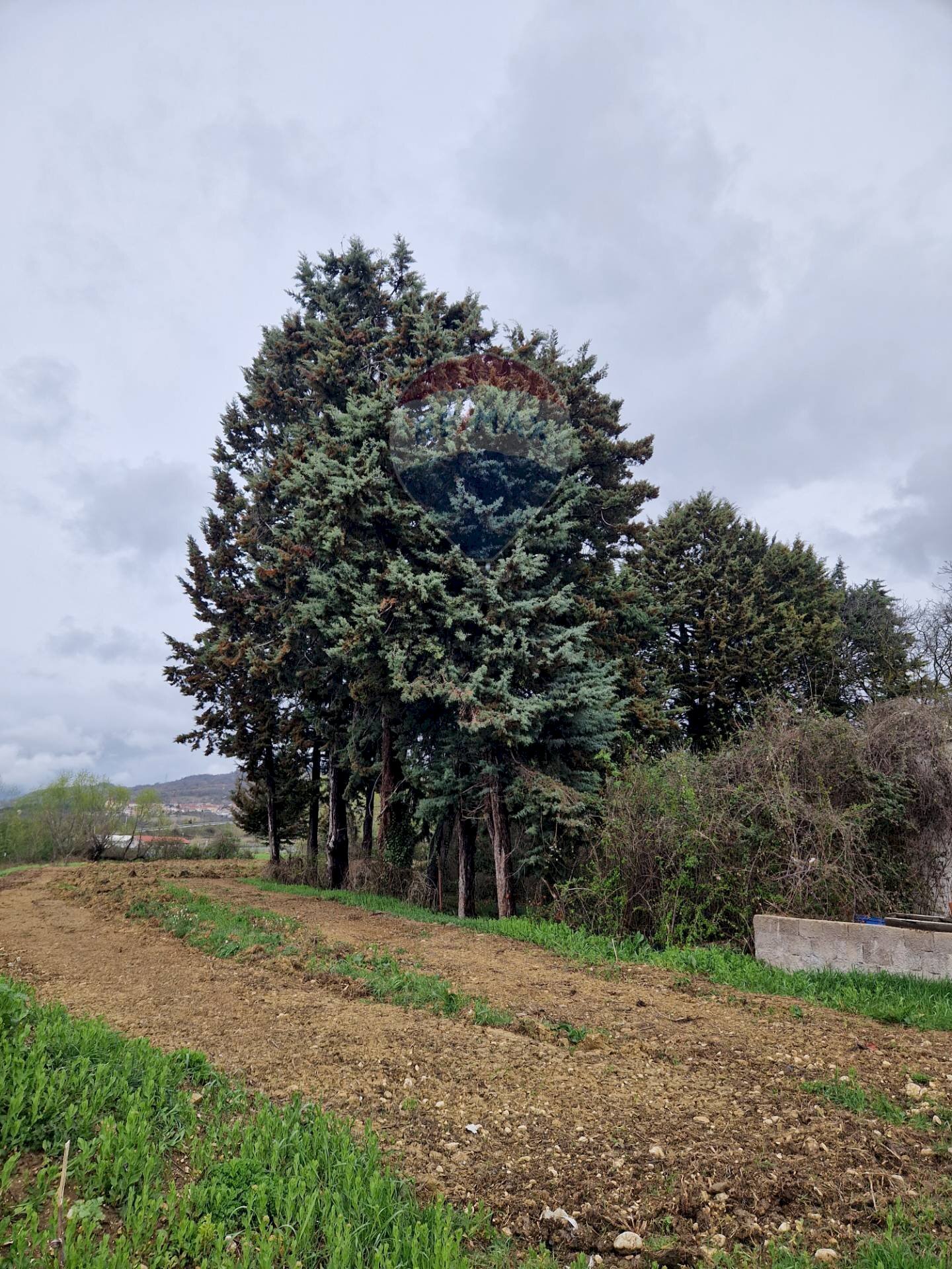 Giardino - Terreno edificabile Cerchio - foto 1