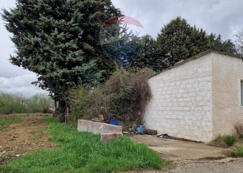 Giardino - Terreno edificabile Cerchio - foto 9