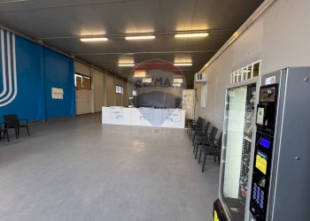 Non correlato - Capannone Via Dei Gerani
 
2, Modugno - foto 4