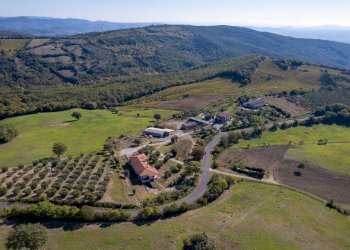 Foto 5 - Villa agriturismo il poderuccio, Scansano - foto 5