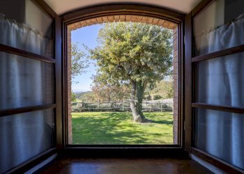 Foto 36 - Villa agriturismo il poderuccio, Scansano - foto 36