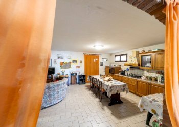 Foto 48 - Villa agriturismo il poderuccio, Scansano - foto 48