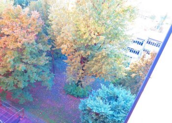 Vista - Trilocale via Milano, Parma - foto 11