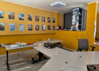 Ufficio - Capannone strada Privata, 3, Carrù - foto 6