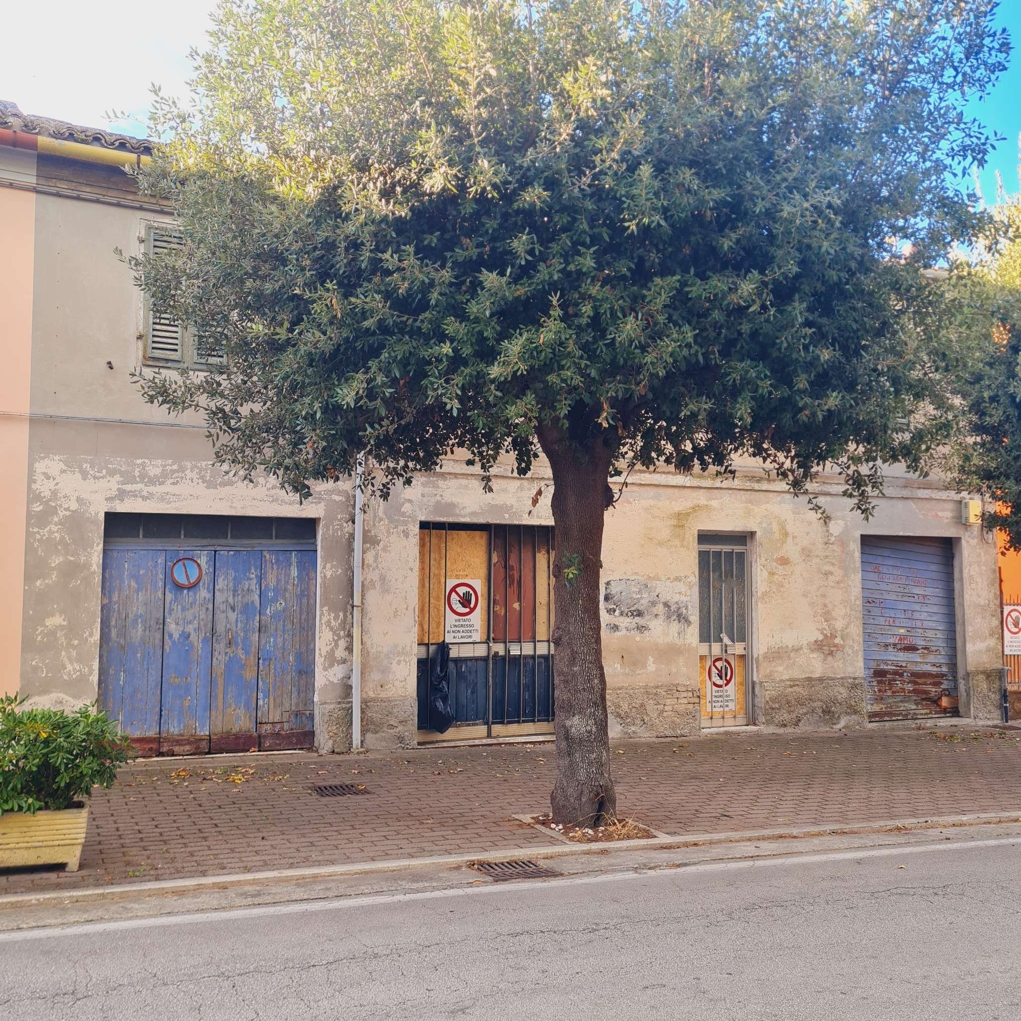 20251025_091856 - Casa indipendente Polverigi - foto 2