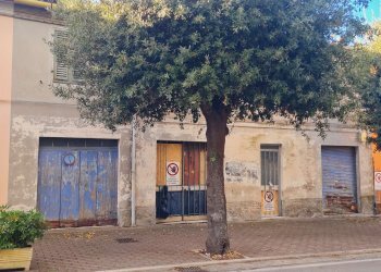 20251025_091856 - Independent house Polverigi - photo 2