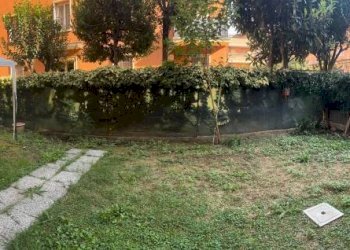Giardino - Trilocale via delle Fragole, Bologna (zona Murri) - foto 2