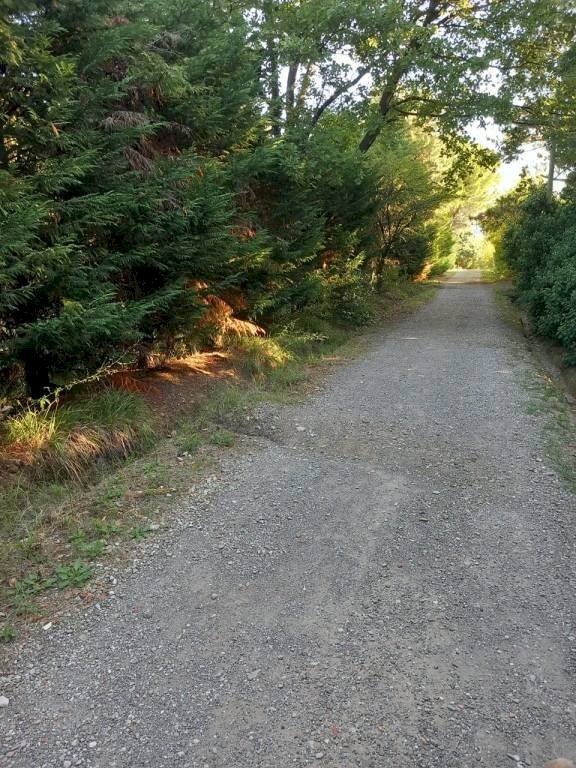 Terreno - Terreno agricolo via Carlo Jussi, 154, San Lazzaro di Savena - foto 1