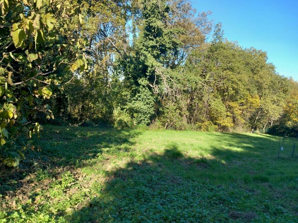 Terreno - Terreno agricolo via Carlo Jussi, 154, San Lazzaro di Savena - foto 2