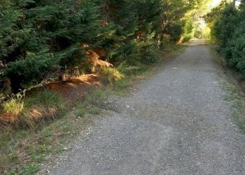 Terreno - Terreno agricolo via Carlo Jussi, 154, San Lazzaro di Savena - foto 1