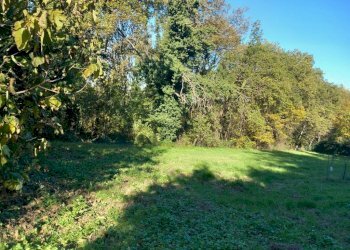 Terreno - Terreno agricolo via Carlo Jussi, 154, San Lazzaro di Savena - foto 2