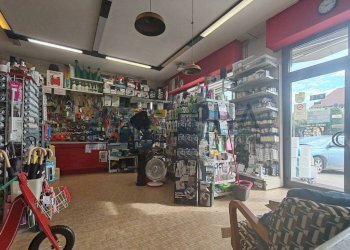 Interno non residenziale - Colorificio - Ferramenta - Elettricità viale della Repubblica, San Mauro Pascoli - foto 6