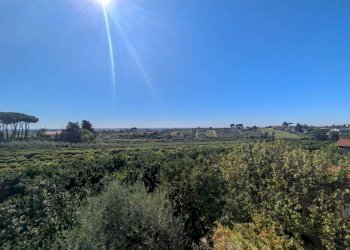 Terreno - Villa via Seneca, Genzano di Roma - photo 40