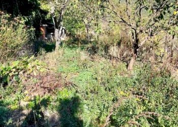 WhatsApp Image 2025-10-24 at 17.08.10.jpeg - Porzione di casa Via Carpasio, Prelà - foto 25