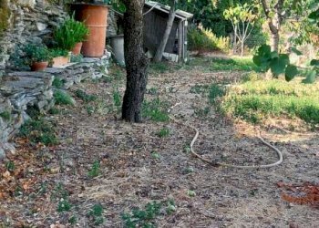 77061450-eb0f-4dda-9bc5-94dfd5da5295 - Porzione di casa Via Carpasio, Prelà - foto 26