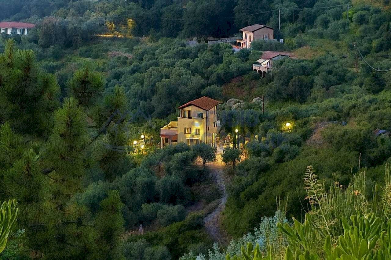 Immagine WhatsApp 2025-10-25 ore 11.29.58_800cb4bf - Villa Strada della Villa 11d, Seborga - foto 2