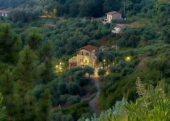 Immagine WhatsApp 2025-10-25 ore 11.29.58_800cb4bf - Villa Strada della Villa 11d, Seborga - foto 2