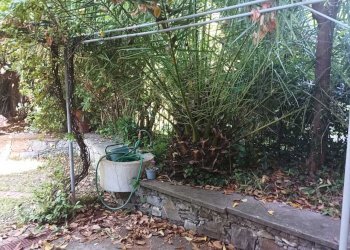 giardino2.jpg - Appartamento Via Privata Fortunato Costav, Santa Margherita Ligure - foto 8