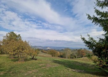 Baita Strada di Mombasiglio, Ceva - photo 6