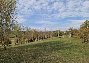 Baita Strada di Mombasiglio, Ceva - photo 11