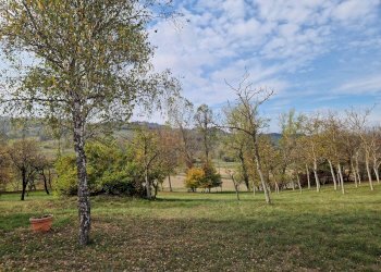 Baita Strada di Mombasiglio, Ceva - photo 31