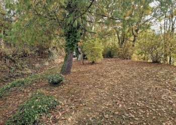 Baita Strada di Mombasiglio, Ceva - photo 37