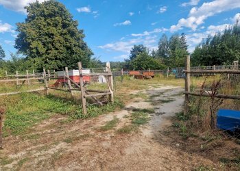 Rustic Via Guglielmo Marconi, 59, Lesegno - photo 5