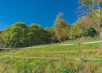 Single Family Villa Via Monte Pelvo, Caraglio - photo 20