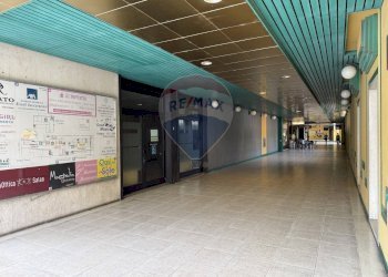 Ricezione / Lobby - Stabile - Palazzo Via Giuseppe Garibaldi
 
48, Bovolone - foto 6