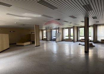 Stanza vuota - Stabile - Palazzo Via Giuseppe Garibaldi
 
48, Bovolone - foto 16