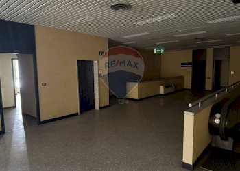 Ricezione / Lobby - Stabile - Palazzo Via Giuseppe Garibaldi
 
48, Bovolone - foto 20