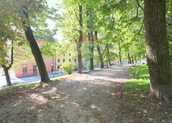 Giardino - Ufficio VIA VERDI
 
25, Asiago - foto 12