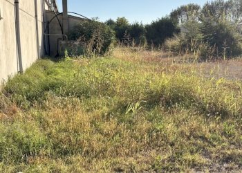 esterno fianco - Capannone Via Prati, Castello d'Argile - foto 5