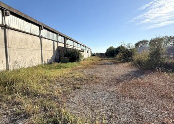 esterno fianco - Capannone Via Prati, Castello d'Argile - foto 6