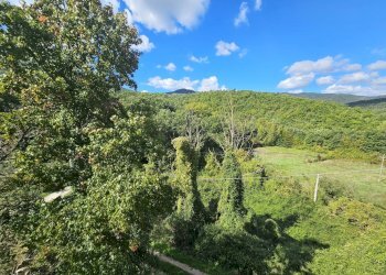 12.jpg - Porzione di casa Vocabolo Santa Maria delle Corti 3, Lisciano Niccone - foto 12