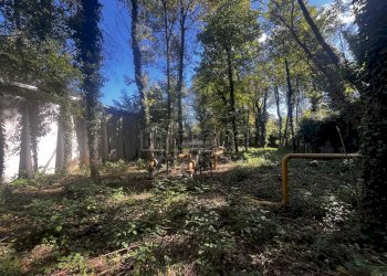 Capannone Via Colombera, Solbiate Arno - foto 12