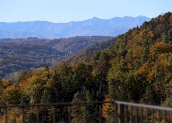 Independent house Cerretto Langhe - photo 33