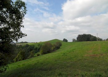 Casale Rocca Cigliè - photo 5
